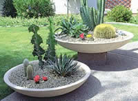 Low Profile Planters