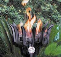 Gas Tiki Torches